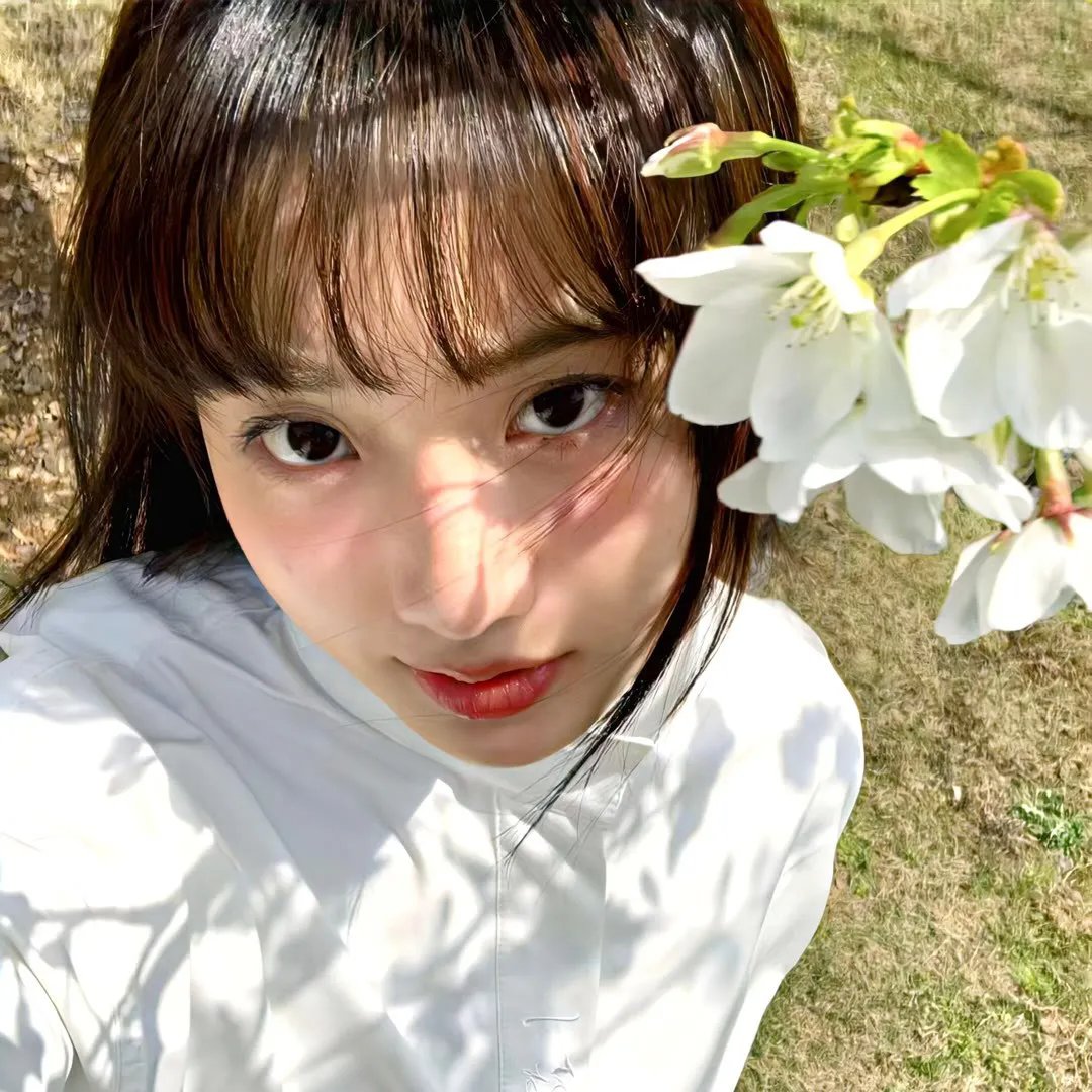 隆美尔宝藏